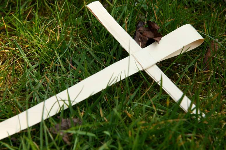 Berkas:442584517 db1e7b4f61 o.jpg